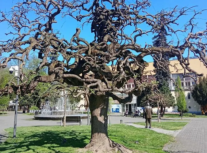 Nidza Vranjanac Vrnjačka Banja