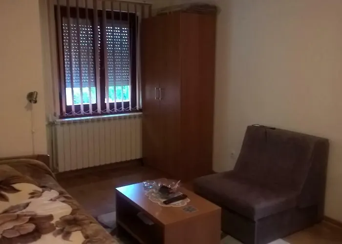 Nidza Vranjanac Vrnjačka Banja